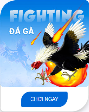 đá gà banca30